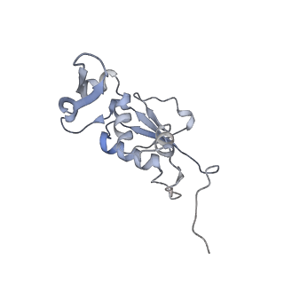 21626_6wd7_j_v1-2
Cryo-EM of elongating ribosome with EF-Tu*GTP elucidates tRNA proofreading (Cognate Structure II-D)