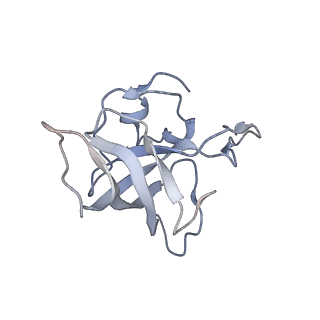 21626_6wd7_k_v1-2
Cryo-EM of elongating ribosome with EF-Tu*GTP elucidates tRNA proofreading (Cognate Structure II-D)