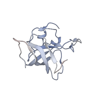 21626_6wd7_k_v1-3
Cryo-EM of elongating ribosome with EF-Tu*GTP elucidates tRNA proofreading (Cognate Structure II-D)