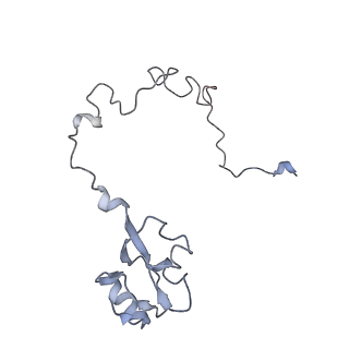 21626_6wd7_l_v1-2
Cryo-EM of elongating ribosome with EF-Tu*GTP elucidates tRNA proofreading (Cognate Structure II-D)