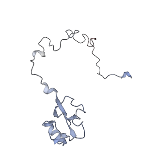 21626_6wd7_l_v1-3
Cryo-EM of elongating ribosome with EF-Tu*GTP elucidates tRNA proofreading (Cognate Structure II-D)