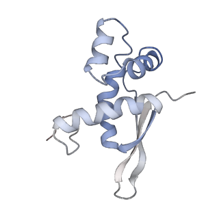 21626_6wd7_n_v1-3
Cryo-EM of elongating ribosome with EF-Tu*GTP elucidates tRNA proofreading (Cognate Structure II-D)