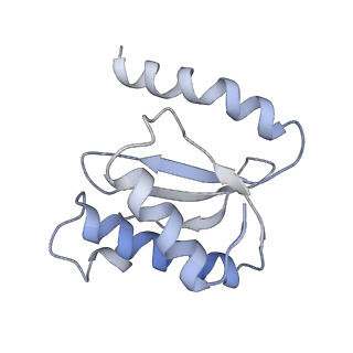 21626_6wd7_o_v1-2
Cryo-EM of elongating ribosome with EF-Tu*GTP elucidates tRNA proofreading (Cognate Structure II-D)