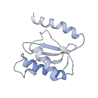 21626_6wd7_o_v1-3
Cryo-EM of elongating ribosome with EF-Tu*GTP elucidates tRNA proofreading (Cognate Structure II-D)