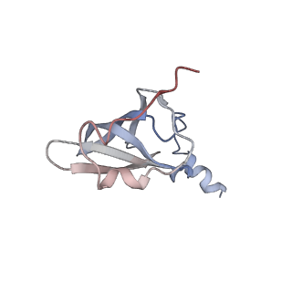 21626_6wd7_p_v1-3
Cryo-EM of elongating ribosome with EF-Tu*GTP elucidates tRNA proofreading (Cognate Structure II-D)