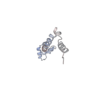 21626_6wd7_q_v1-2
Cryo-EM of elongating ribosome with EF-Tu*GTP elucidates tRNA proofreading (Cognate Structure II-D)