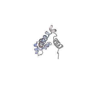 21626_6wd7_q_v1-3
Cryo-EM of elongating ribosome with EF-Tu*GTP elucidates tRNA proofreading (Cognate Structure II-D)