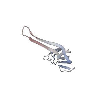 21626_6wd7_r_v1-3
Cryo-EM of elongating ribosome with EF-Tu*GTP elucidates tRNA proofreading (Cognate Structure II-D)