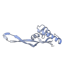 21626_6wd7_s_v1-2
Cryo-EM of elongating ribosome with EF-Tu*GTP elucidates tRNA proofreading (Cognate Structure II-D)
