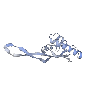 21626_6wd7_s_v1-3
Cryo-EM of elongating ribosome with EF-Tu*GTP elucidates tRNA proofreading (Cognate Structure II-D)