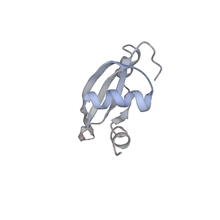 21626_6wd7_t_v1-3
Cryo-EM of elongating ribosome with EF-Tu*GTP elucidates tRNA proofreading (Cognate Structure II-D)