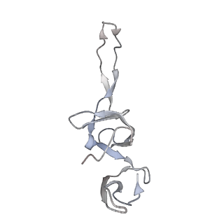 21626_6wd7_u_v1-2
Cryo-EM of elongating ribosome with EF-Tu*GTP elucidates tRNA proofreading (Cognate Structure II-D)