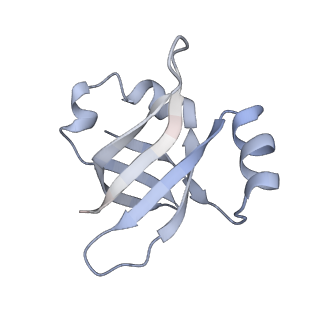 21626_6wd7_v_v1-2
Cryo-EM of elongating ribosome with EF-Tu*GTP elucidates tRNA proofreading (Cognate Structure II-D)