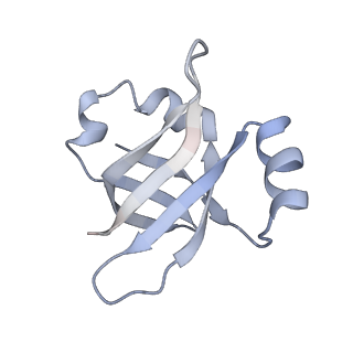 21626_6wd7_v_v1-3
Cryo-EM of elongating ribosome with EF-Tu*GTP elucidates tRNA proofreading (Cognate Structure II-D)