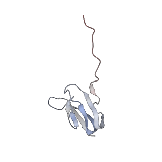 21626_6wd7_w_v1-2
Cryo-EM of elongating ribosome with EF-Tu*GTP elucidates tRNA proofreading (Cognate Structure II-D)
