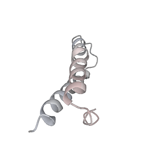21626_6wd7_y_v1-2
Cryo-EM of elongating ribosome with EF-Tu*GTP elucidates tRNA proofreading (Cognate Structure II-D)