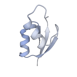 21626_6wd7_z_v1-2
Cryo-EM of elongating ribosome with EF-Tu*GTP elucidates tRNA proofreading (Cognate Structure II-D)
