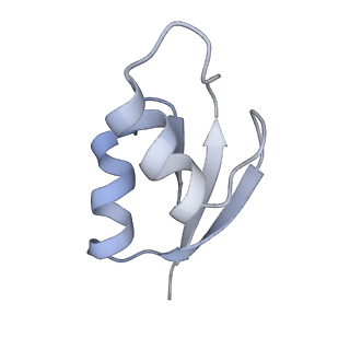 21626_6wd7_z_v1-3
Cryo-EM of elongating ribosome with EF-Tu*GTP elucidates tRNA proofreading (Cognate Structure II-D)