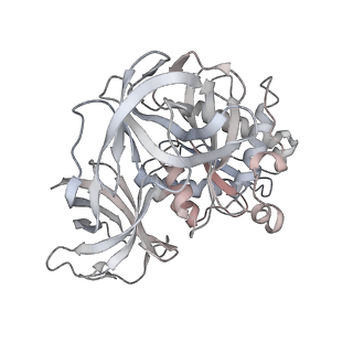 21627_6wd8_8_v1-3
Cryo-EM of elongating ribosome with EF-Tu*GTP elucidates tRNA proofreading (Cognate Structure III-A)