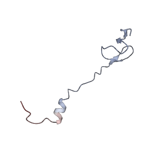 21627_6wd8_B_v1-3
Cryo-EM of elongating ribosome with EF-Tu*GTP elucidates tRNA proofreading (Cognate Structure III-A)