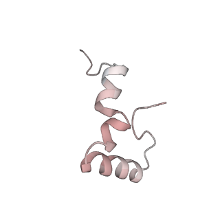 21627_6wd8_D_v1-2
Cryo-EM of elongating ribosome with EF-Tu*GTP elucidates tRNA proofreading (Cognate Structure III-A)