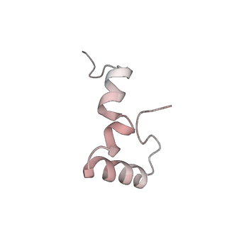 21627_6wd8_D_v1-3
Cryo-EM of elongating ribosome with EF-Tu*GTP elucidates tRNA proofreading (Cognate Structure III-A)