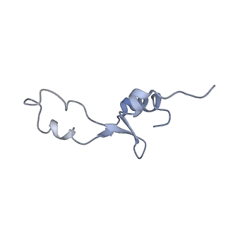 21627_6wd8_E_v1-3
Cryo-EM of elongating ribosome with EF-Tu*GTP elucidates tRNA proofreading (Cognate Structure III-A)