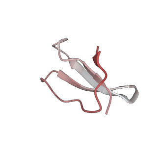 21627_6wd8_F_v1-3
Cryo-EM of elongating ribosome with EF-Tu*GTP elucidates tRNA proofreading (Cognate Structure III-A)