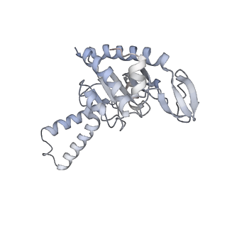 21627_6wd8_G_v1-2
Cryo-EM of elongating ribosome with EF-Tu*GTP elucidates tRNA proofreading (Cognate Structure III-A)
