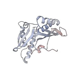 21627_6wd8_H_v1-2
Cryo-EM of elongating ribosome with EF-Tu*GTP elucidates tRNA proofreading (Cognate Structure III-A)
