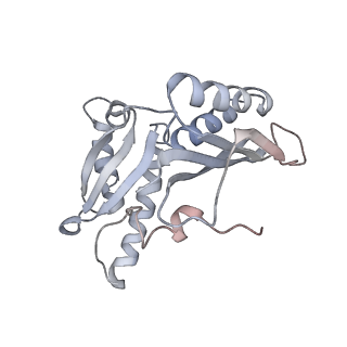 21627_6wd8_H_v1-3
Cryo-EM of elongating ribosome with EF-Tu*GTP elucidates tRNA proofreading (Cognate Structure III-A)