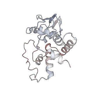 21627_6wd8_I_v1-2
Cryo-EM of elongating ribosome with EF-Tu*GTP elucidates tRNA proofreading (Cognate Structure III-A)