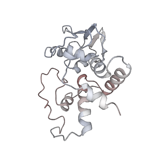 21627_6wd8_I_v1-3
Cryo-EM of elongating ribosome with EF-Tu*GTP elucidates tRNA proofreading (Cognate Structure III-A)