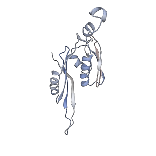 21627_6wd8_J_v1-2
Cryo-EM of elongating ribosome with EF-Tu*GTP elucidates tRNA proofreading (Cognate Structure III-A)