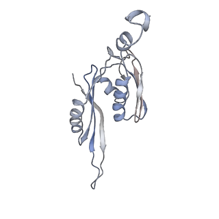 21627_6wd8_J_v1-3
Cryo-EM of elongating ribosome with EF-Tu*GTP elucidates tRNA proofreading (Cognate Structure III-A)