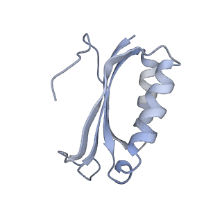 21627_6wd8_K_v1-3
Cryo-EM of elongating ribosome with EF-Tu*GTP elucidates tRNA proofreading (Cognate Structure III-A)