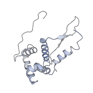 21627_6wd8_L_v1-2
Cryo-EM of elongating ribosome with EF-Tu*GTP elucidates tRNA proofreading (Cognate Structure III-A)