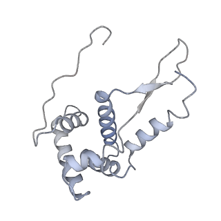 21627_6wd8_L_v1-3
Cryo-EM of elongating ribosome with EF-Tu*GTP elucidates tRNA proofreading (Cognate Structure III-A)