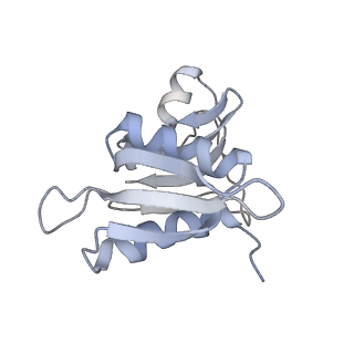 21627_6wd8_M_v1-2
Cryo-EM of elongating ribosome with EF-Tu*GTP elucidates tRNA proofreading (Cognate Structure III-A)