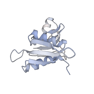 21627_6wd8_M_v1-3
Cryo-EM of elongating ribosome with EF-Tu*GTP elucidates tRNA proofreading (Cognate Structure III-A)