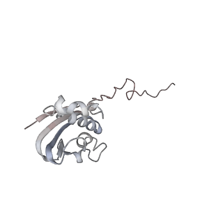 21627_6wd8_N_v1-2
Cryo-EM of elongating ribosome with EF-Tu*GTP elucidates tRNA proofreading (Cognate Structure III-A)