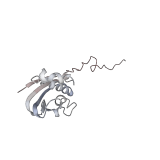 21627_6wd8_N_v1-3
Cryo-EM of elongating ribosome with EF-Tu*GTP elucidates tRNA proofreading (Cognate Structure III-A)