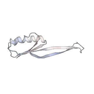 21627_6wd8_O_v1-3
Cryo-EM of elongating ribosome with EF-Tu*GTP elucidates tRNA proofreading (Cognate Structure III-A)