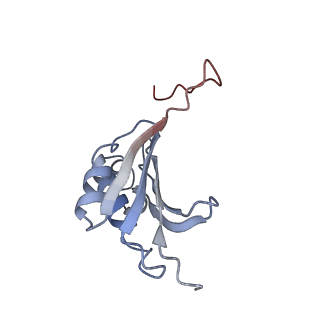 21627_6wd8_P_v1-3
Cryo-EM of elongating ribosome with EF-Tu*GTP elucidates tRNA proofreading (Cognate Structure III-A)