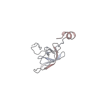 21627_6wd8_Q_v1-2
Cryo-EM of elongating ribosome with EF-Tu*GTP elucidates tRNA proofreading (Cognate Structure III-A)