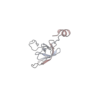 21627_6wd8_Q_v1-3
Cryo-EM of elongating ribosome with EF-Tu*GTP elucidates tRNA proofreading (Cognate Structure III-A)