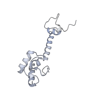 21627_6wd8_R_v1-2
Cryo-EM of elongating ribosome with EF-Tu*GTP elucidates tRNA proofreading (Cognate Structure III-A)
