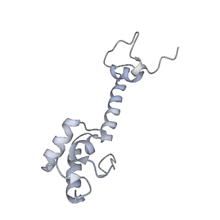 21627_6wd8_R_v1-3
Cryo-EM of elongating ribosome with EF-Tu*GTP elucidates tRNA proofreading (Cognate Structure III-A)