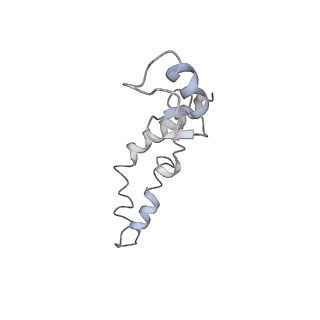 21627_6wd8_S_v1-3
Cryo-EM of elongating ribosome with EF-Tu*GTP elucidates tRNA proofreading (Cognate Structure III-A)