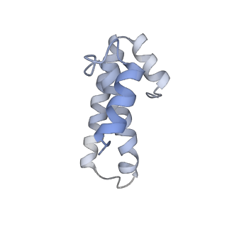 21627_6wd8_T_v1-3
Cryo-EM of elongating ribosome with EF-Tu*GTP elucidates tRNA proofreading (Cognate Structure III-A)